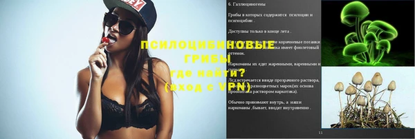 ALPHA PVP Аркадак