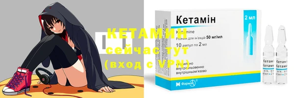 прущие грибы Киреевск
