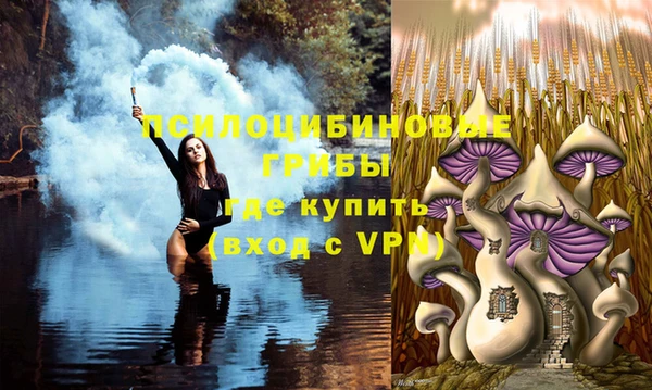 ALPHA PVP Аркадак