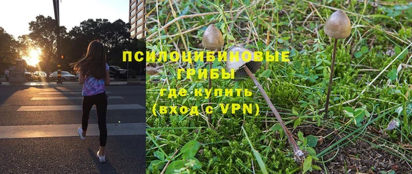 a pvp Армянск