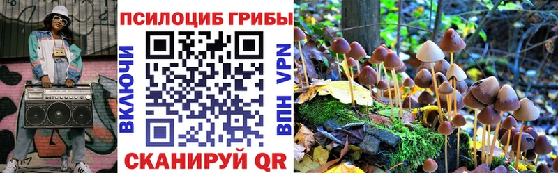 Псилоцибиновые грибы мицелий  Кировск 