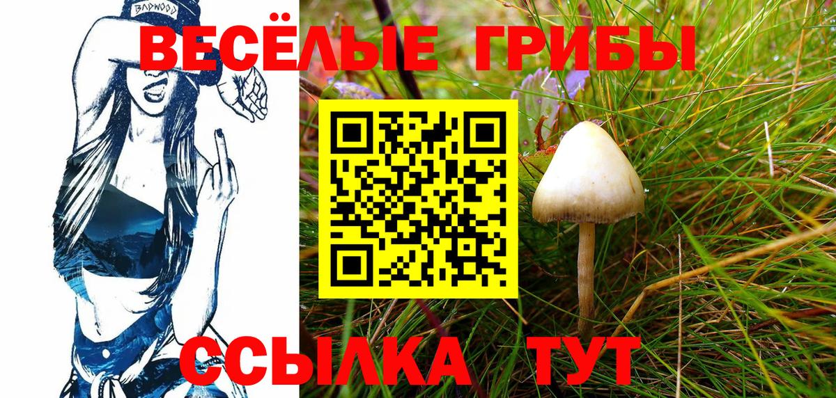 Кировск  Галлюциногенные грибы мухоморы  Вход с VPN 