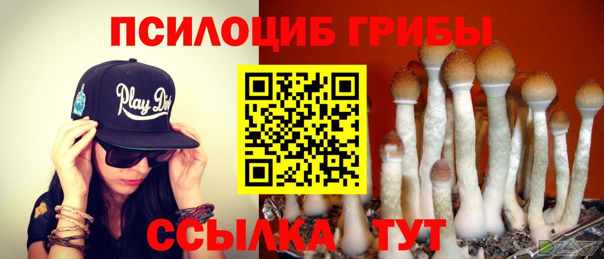 Галлюциногенные грибы MAGIC MUSHROOMS Кировск