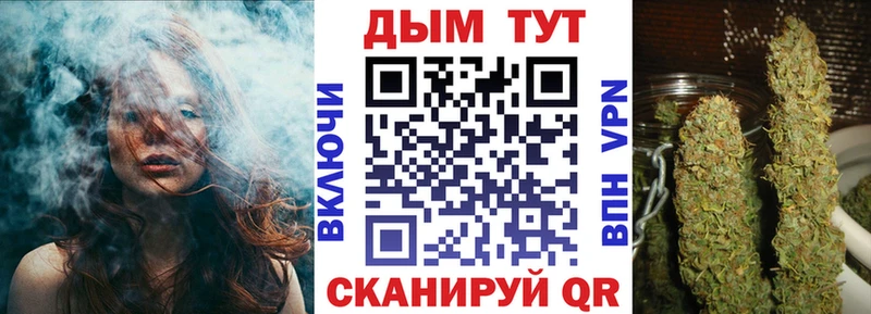 наркота  Кировск  Конопля сатива 