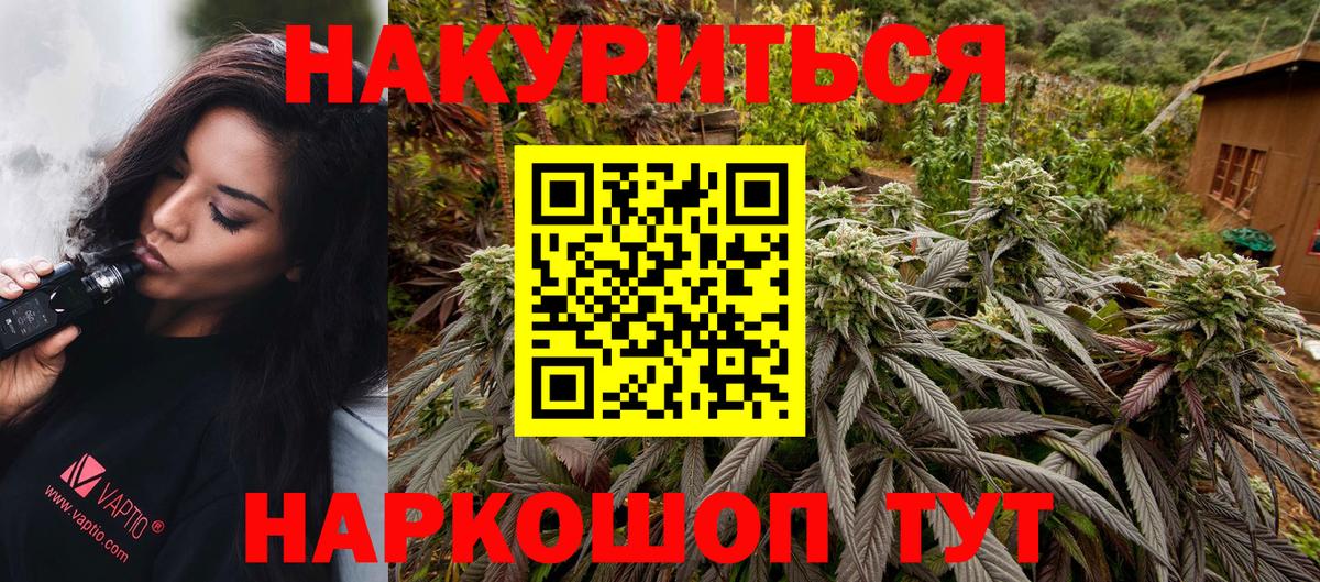Каннабис сатива Кировск